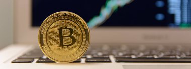  grafik artan ile defter keydoard üzerinde altın bitcoin