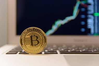  grafik artan ile defter keydoard üzerinde altın bitcoin