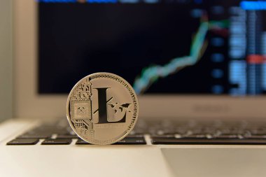 Defter keydoard üzerinde gümüş Litecoin