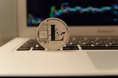 Defter keydoard üzerinde gümüş Litecoin