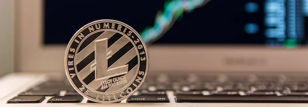 Litecoin Plata Teclado Del Portátil Con Gráfico — Foto de Stock