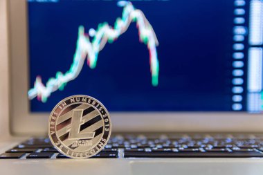 Grafik azalan ile defter keydoard üzerinde gümüş Litecoin