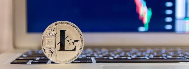 Grafik azalan ile defter keydoard üzerinde gümüş Litecoin