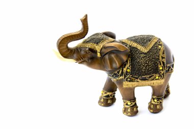 Beyaz arka plan üzerinde izole küçük fil Hatıra görüntüsünü kapatmak