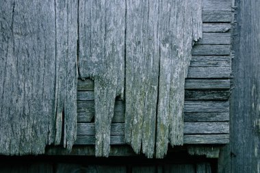 ahşap arka plan doku