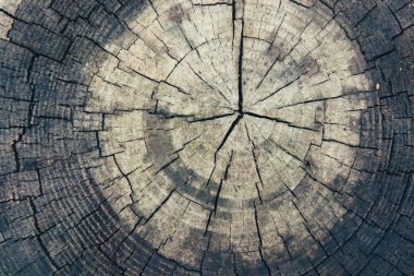 ahşap arka plan doku