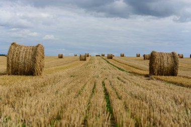 Alan arka plan üzerinde rulo saman yakın çekim