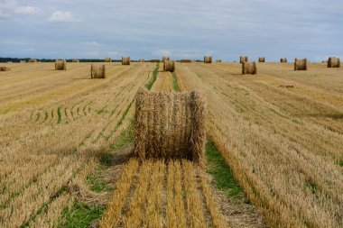 Alan arka plan üzerinde rulo saman yakın çekim