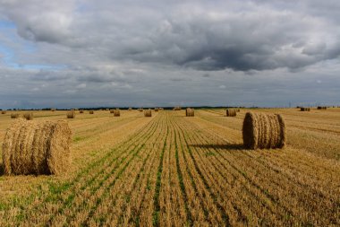 Alan arka plan üzerinde rulo saman yakın çekim