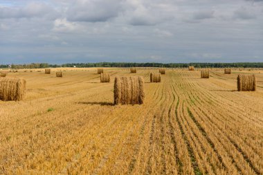 Alan arka plan üzerinde rulo saman yakın çekim