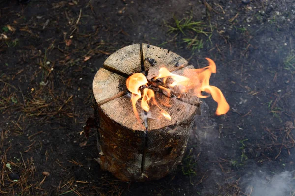 森林中的瑞典木炉 — 图库照片
