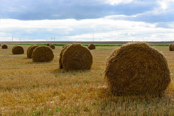 Siano Belach Polu Tle Bliska — Zdjęcie stockowe