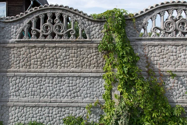 Fondo Valla Piedra Blanca Con Plantas — Foto de Stock