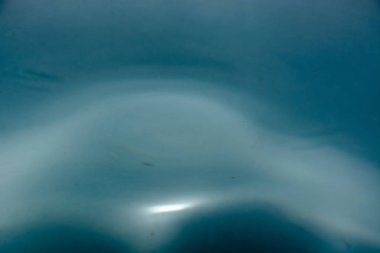 Splash arka plan üzerinde temiz su