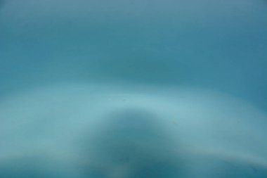 Splash arka plan üzerinde temiz su