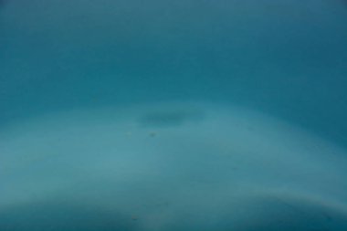 Splash arka plan üzerinde temiz su