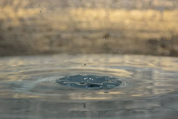 Splash Van Schoon Water Achtergrond — Stockfoto