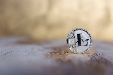 Kripto Döviz Alım Litecoin - dijital gümüş
