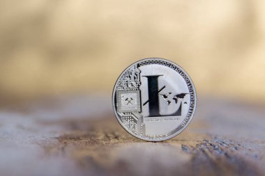 Kripto Döviz Alım Litecoin - dijital gümüş