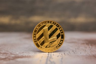 Kripto Döviz Alım Litecoin - dijital gümüş
