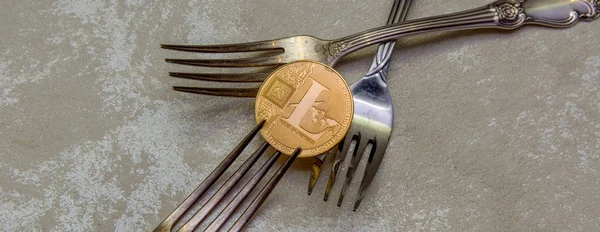 Altın Litecoin Gümüş Arka Plan Üzerinde Çatal — Stok fotoğraf