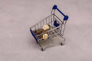 İzole metal madeni para ile alışveriş arabası