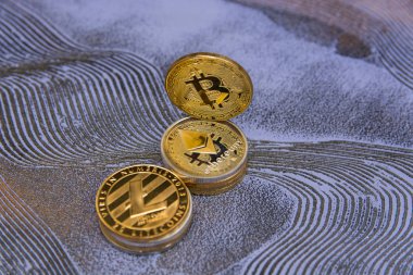  kripto para birimi: bitcoin litecoin ve ethereum 