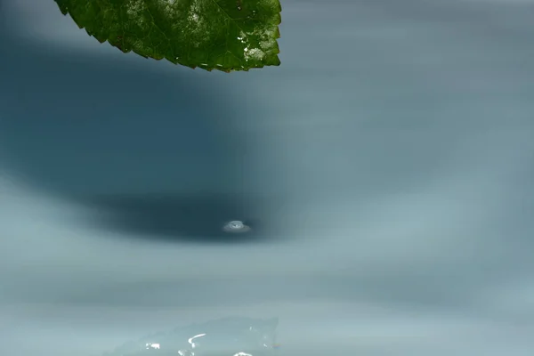Капли Голубой Чистой Воды Зеленый Лист — стоковое фото