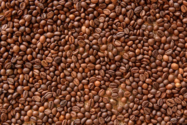 นหล งเมล ดกาแฟหอม — ภาพถ่ายสต็อก
