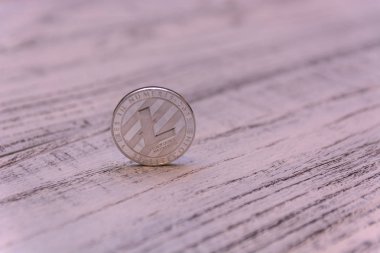 Ahşap adam üzerinde gümüş Litecoin