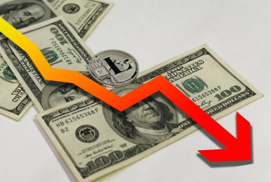 Gümüş litecoin litecoin şeklinde koydu yüz dallar faturalarında yatıyor