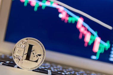 Defter keydoard üzerinde gümüş Litecoin