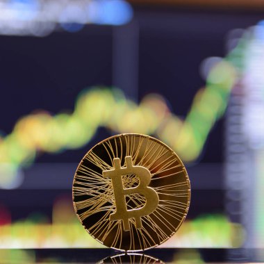 Altın bitcoin ve grafik monitör