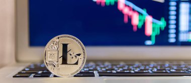 Defter keydoard üzerinde gümüş Litecoin