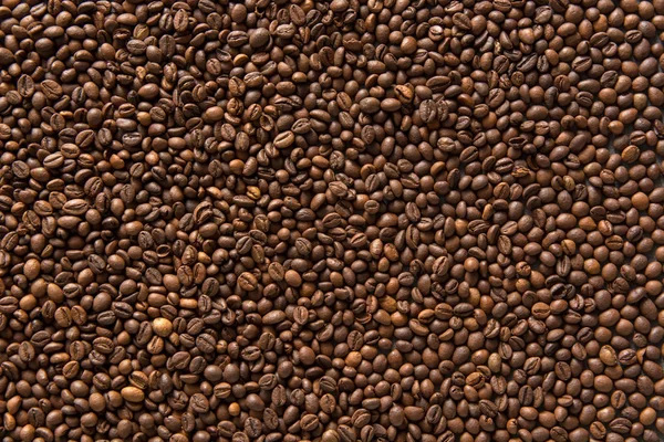 Aroma Kaffeebohnen Hintergrund — Stockfoto