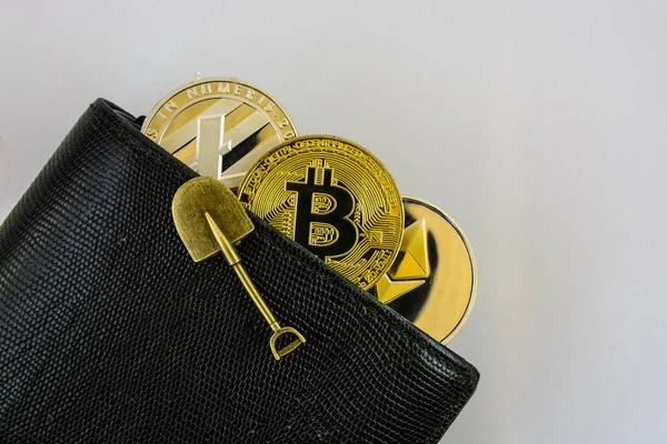 Litecoin, bitcoin ve ethereum oyuncak kürek ile siyah deri cüzdan içinde yalan