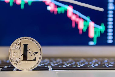 Defter keydoard üzerinde gümüş Litecoin