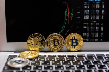 Altın bitcoins ve grafik monitör
