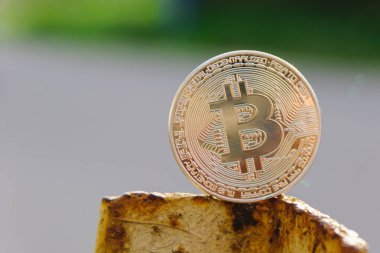  pas metal köşe kürsüye altın bitcoin