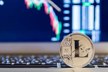 Defter keydoard ile grafik üzerinde gümüş Litecoin