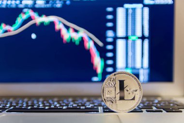 Defter keydoard ile grafik üzerinde gümüş Litecoin