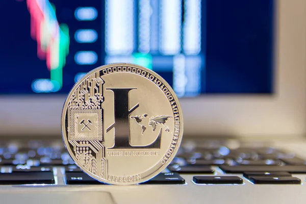 Defter keydoard ile grafik üzerinde gümüş Litecoin