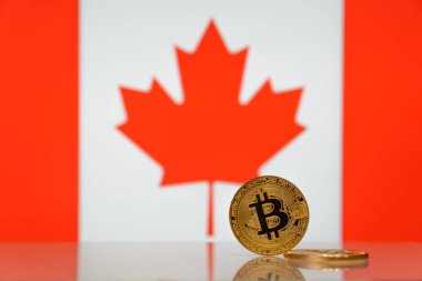  Altın bitcoin devlet bayrağı bulanık bir arka plan üzerinde duruyor