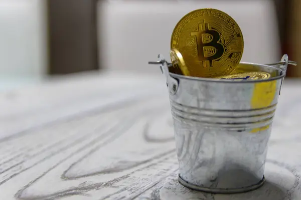 Goldener Bitcoin Und Andere Kryptowährung Spielzeug Metalleimer — Stockfoto