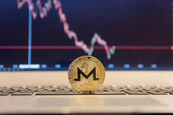 Monero Dorado Portátil Plata — Foto de Stock