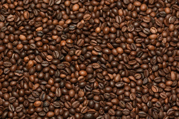 Illatú Kávébab Háttér — Stock Fotó