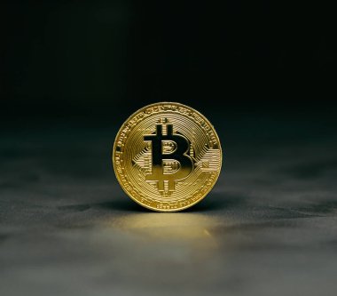  koyu arka plan üzerinde altın bitcoin durmak