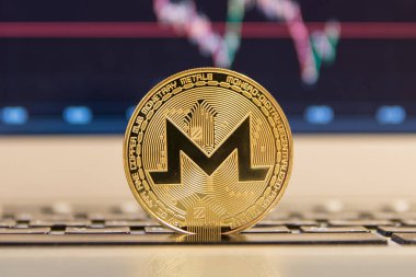  Gümüş laptop altın monero