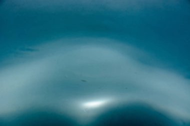 Splahs arka plan üzerinde temiz su