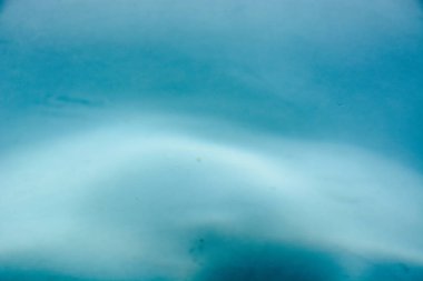 Splahs arka plan üzerinde temiz su